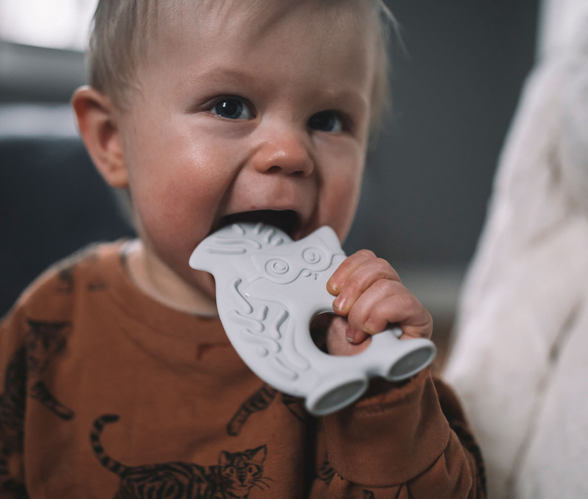 Anello da dentizione – Grigio
